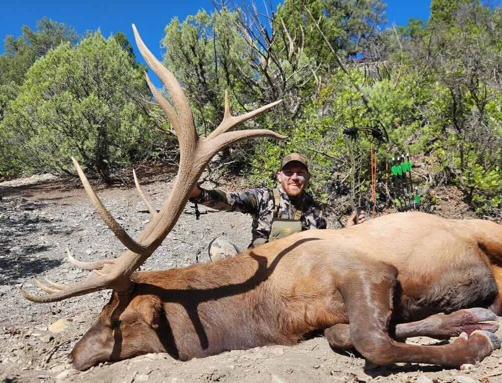 Elk 1 Kyle Alien fiber e991f65cda8cad0d03a7ea8cd2674507