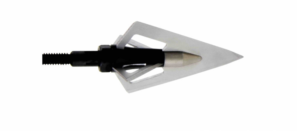 Wasp Sharpshooter 200 resize e991f65cda8cad0d03a7ea8cd2674507 220606 152504