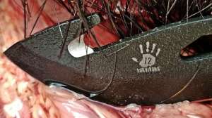 12 survivors Cut 2 300dpi f4159788da6a13a05c7755e7e3b29890 191018 072505