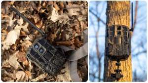 Collage Stealth Cam Spectre 4 K f4159788da6a13a05c7755e7e3b29890 251216 152502