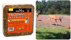 Antler King Deer Block collage f4159788da6a13a05c7755e7e3b29890