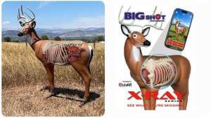 BI Gshot X Ray collage f4159788da6a13a05c7755e7e3b29890