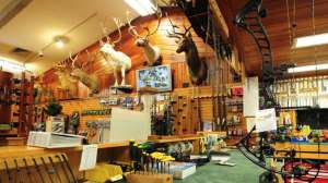 Bay Archery beauty f4159788da6a13a05c7755e7e3b29890 190603 162502