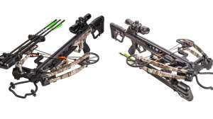 Bear X Constrictor f4159788da6a13a05c7755e7e3b29890 191014 082502