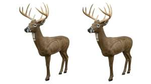 Big Jim 3 D target f4159788da6a13a05c7755e7e3b29890 200804 122501
