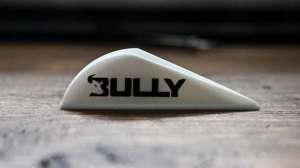 Bully 1 f4159788da6a13a05c7755e7e3b29890