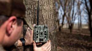 Bushnell Cellucore 30 On The Tree f4159788da6a13a05c7755e7e3b29890 210519 152503