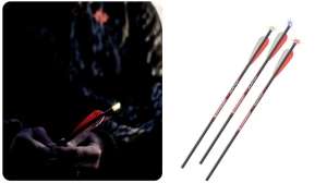 Collage Bloodsport Strobe f4159788da6a13a05c7755e7e3b29890