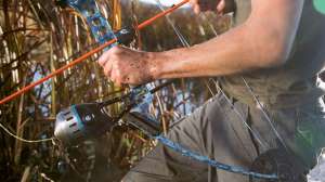 Cuda bowfishing beauty f4159788da6a13a05c7755e7e3b29890 200428 102503