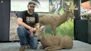 DSD Bedded Doe pic f4159788da6a13a05c7755e7e3b29890 240913 162505