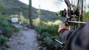 Dialed In Hunter 6820 cropped f4159788da6a13a05c7755e7e3b29890 221031 082523