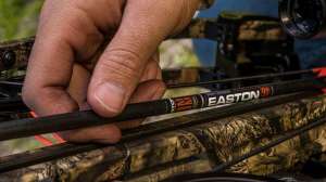 Easton 9mm Crossbow Arrow copy 3 f4159788da6a13a05c7755e7e3b29890 200810 152502