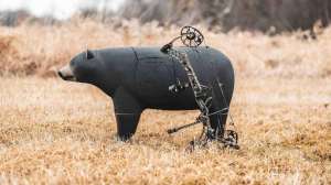 Glen Del black bear target in the field f4159788da6a13a05c7755e7e3b29890 240520 122502