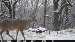 Kansas trail cam ban f4159788da6a13a05c7755e7e3b29890