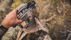 Mathews Phase4 lead pic f4159788da6a13a05c7755e7e3b29890