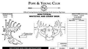 PY Club entry form f4159788da6a13a05c7755e7e3b29890 200813 092502