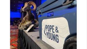 Pope and Young lead image f4159788da6a13a05c7755e7e3b29890