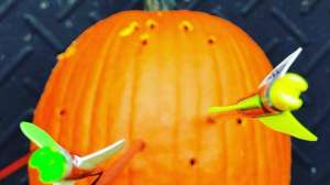 Pumpkin with arrows f4159788da6a13a05c7755e7e3b29890 191029 122502