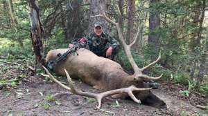 Randy Walk elk f4159788da6a13a05c7755e7e3b29890