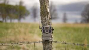 Reveal X trail cam pic f4159788da6a13a05c7755e7e3b29890 220707 172504