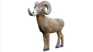 Rinehart 1 2 Scale Bighorn Sheep 3 D target f4159788da6a13a05c7755e7e3b29890
