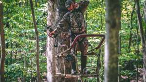 Trophy Treestands beauty f4159788da6a13a05c7755e7e3b29890