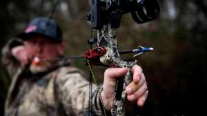 VIP Archery lead f4159788da6a13a05c7755e7e3b29890 220111 082502