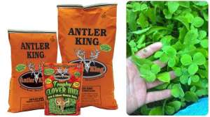 Antler king trophy clover mix collage f4159788da6a13a05c7755e7e3b29890