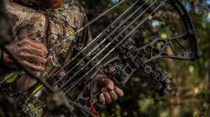 Cashing in on arrows beauty f4159788da6a13a05c7755e7e3b29890 220330 092503