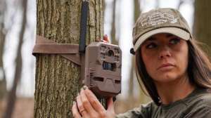 Cell trail cam 12 pic f4159788da6a13a05c7755e7e3b29890