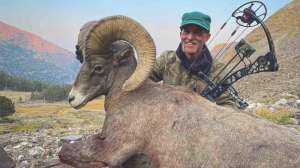 Resize JOHN SCHAFFER DESERT SHEEP 1 f4159788da6a13a05c7755e7e3b29890 220927 152504