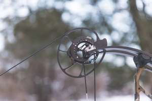 Web Bowtech 1 e991f65cda8cad0d03a7ea8cd2674507
