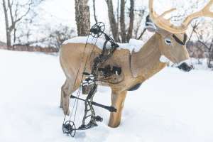 Web Bowtech 6 e991f65cda8cad0d03a7ea8cd2674507