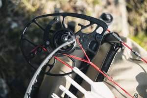 Web BOWPITCH PIX SB1