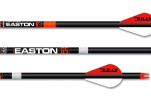 Easton 6 5mm Carbon beauty f4159788da6a13a05c7755e7e3b29890 191107 082501