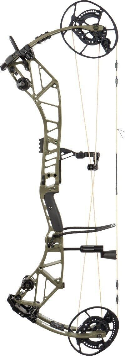 Web Bear Archery Redeem e991f65cda8cad0d03a7ea8cd2674507